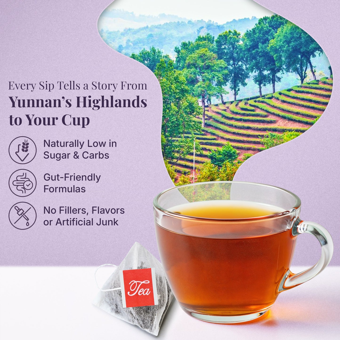 5x PiPi Tea Organic Tea Bags | Tea Leaves From Pu'er | Non GMO, Gluten Free, Naturally High Grown | Whole Loose-Leaf Tea Bags Beverage